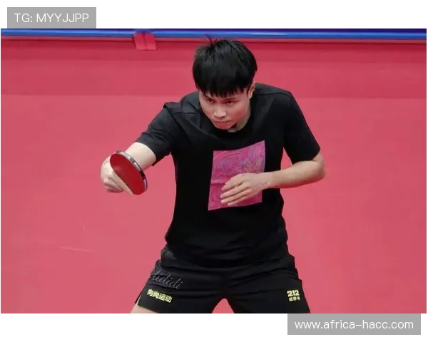 全运会精彩回顾:西安乒乓球队展现灵活性与团队协作的完美结合 全运会精彩回顾:西安乒乓球队展现灵活性与团队协作的完美结合