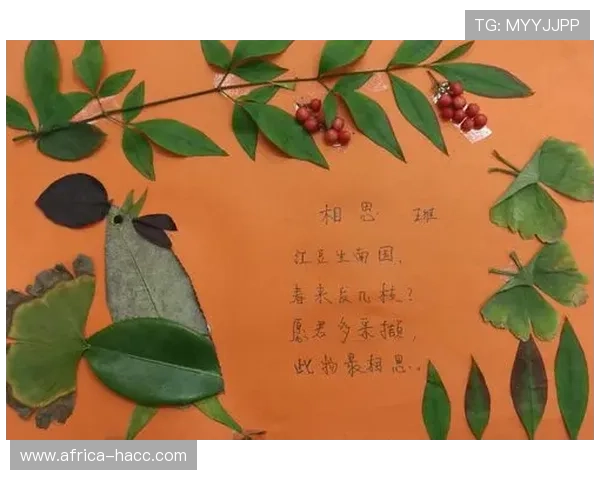 创意无限的足球明星贴画艺术之旅让你与偶像亲密接触