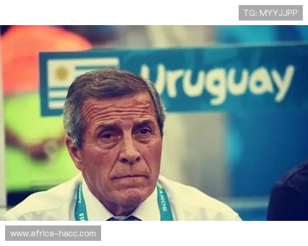 足球明星帅哥哥的魅力与成就揭秘让我们一起走进他们的精彩人生与职业生涯