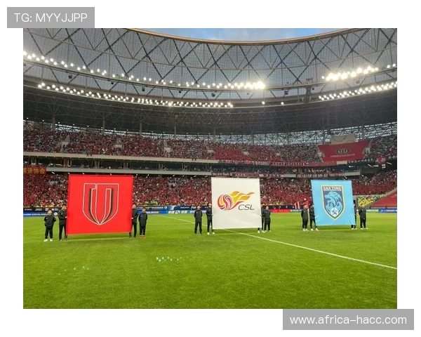 足球明星的故乡揭秘他们来自哪些国家和城市