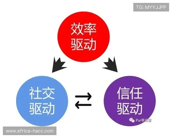 杭州乒乓球队运营分析：成功经验与面临挑战的深度探讨