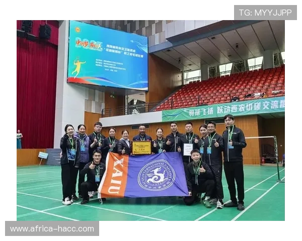 西安羽毛球队实力分析与表现评估数据解读